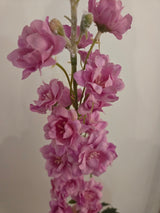 Zijdenbloem larkspur
