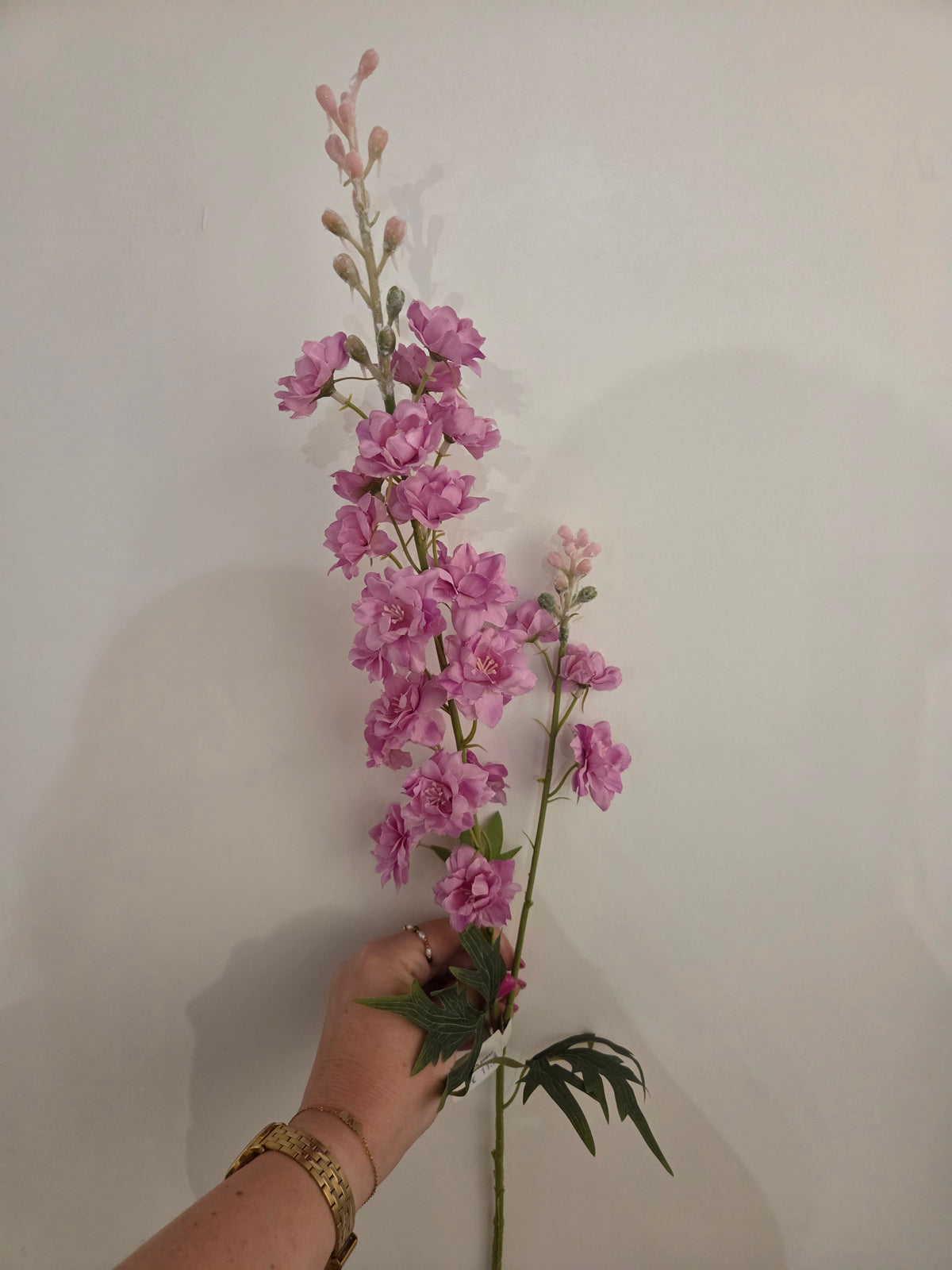Zijdenbloem larkspur