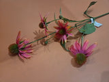 Zijdenbloem echinacea