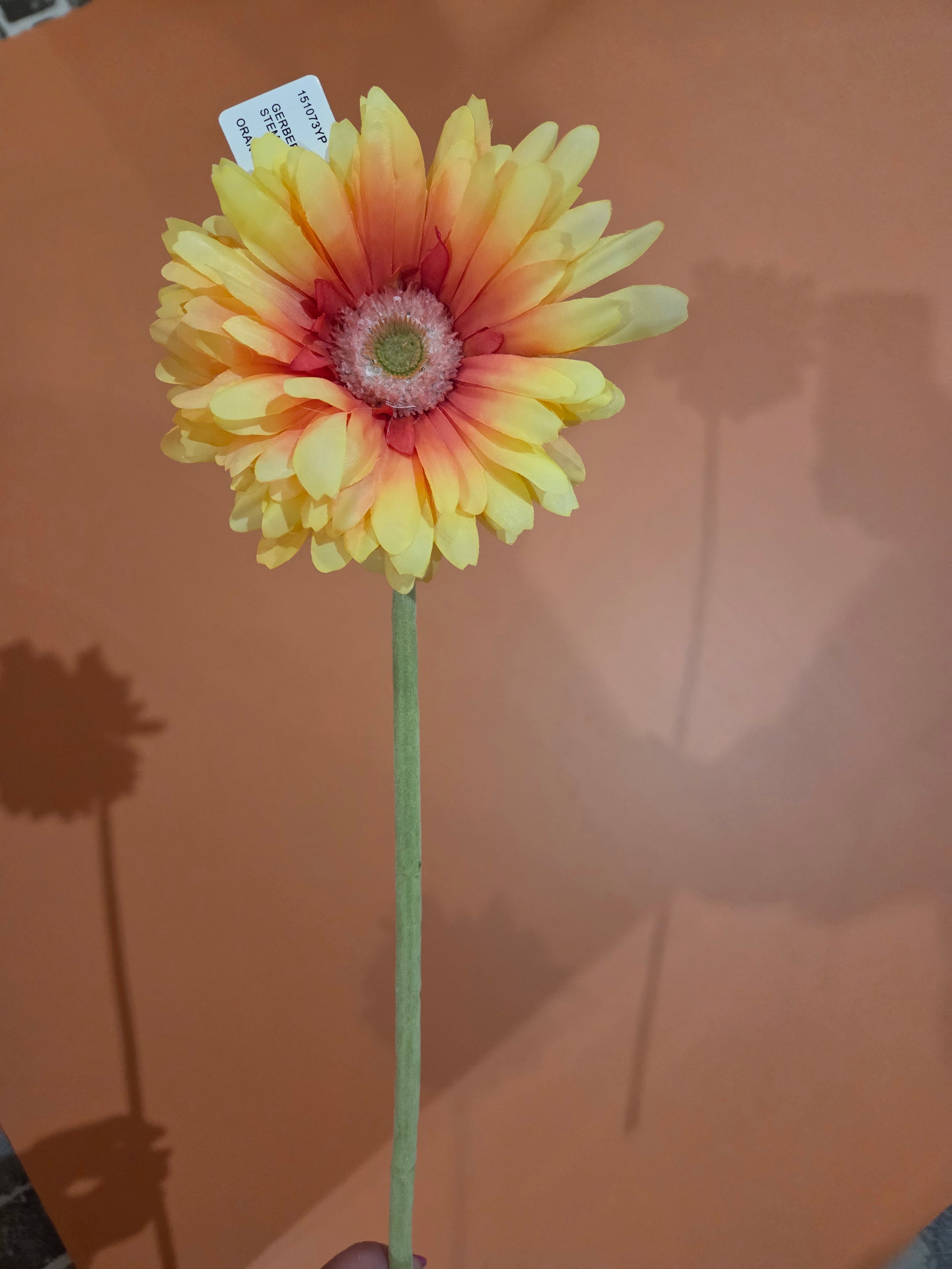 Zijdenbloem gerbera