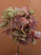 Hortensia mauve