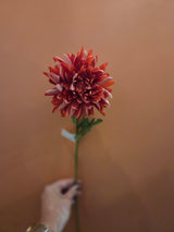 Zijdenbloem Chrysant