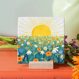 StoryTiles The sun will shine on you